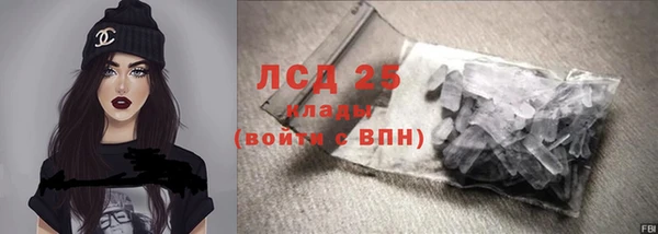 ПСИЛОЦИБИНОВЫЕ ГРИБЫ Арсеньев