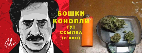 трава Новодвинск
